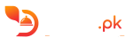 Dinex.pk